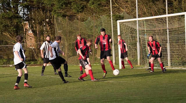 危一击无疑 危一击无疑