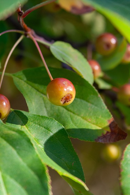 出的深厚感 出的深厚感