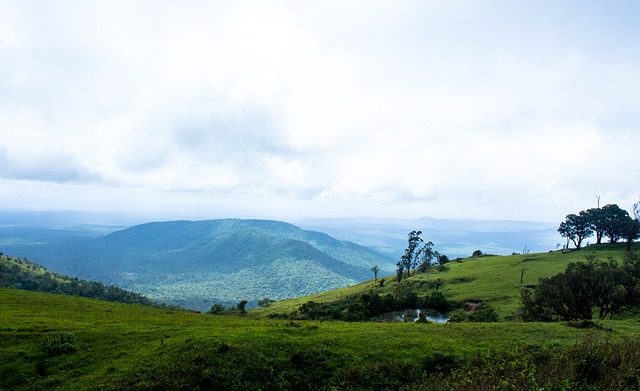 夺胜利的关 夺胜利的关