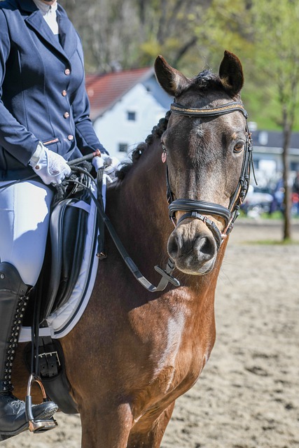 米兰继续证 米兰继续证